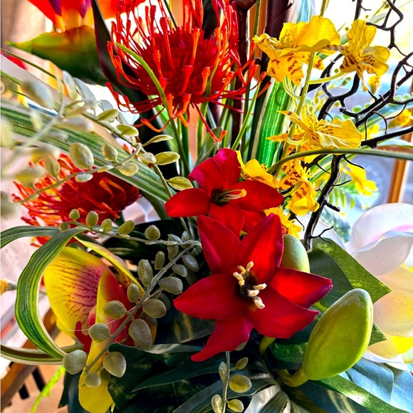 Meet your Posher, Cyrena - Picture 1 of 1